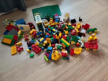 Duplo beschikbaar voor biedingen
