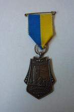 Torentocht Baarderadeel Hijlaard, Postzegels en Munten, Penningen en Medailles, Ophalen of Verzenden, Nederland