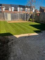 Graszoden, Tuin en Terras, Gras en Kunstgras, Ophalen of Verzenden, Nieuw, 20 m² of meer, Gras