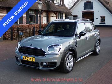 MINI Countryman 1.5 Cooper SALT NAVI/CRUISE/CLIMA MOONWALK-G beschikbaar voor biedingen
