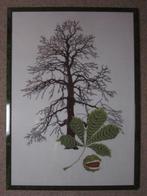 Borduurwerk Boom en Blad in houten lijst met glas., Ophalen of Verzenden, Zo goed als nieuw, Schilderij, 75 cm of meer