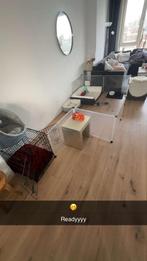 Puppyren Lowander kattenren Dierenren Kittenren Konijnenren, Dieren en Toebehoren, Ophalen, Gebruikt