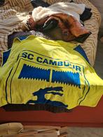 Cambuur strandlaken, Ophalen of Verzenden, Nieuw, Eenpersoons, Kussen