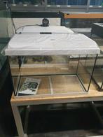 Nieuw aquarium juwel 60x30x40, Dieren en Toebehoren, Vissen | Aquaria en Toebehoren, Ophalen, Zo goed als nieuw, Leeg aquarium