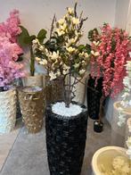 Schelpenvaas met luxe magnolia boompje kies uit alle soorten, Nieuw, Glas, Ophalen of Verzenden, Wit