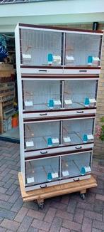 4 bakker kunstof broedkooien 82, Dieren en Toebehoren, Ophalen, Zo goed als nieuw, Kunststof, Broedkooi of Kweekkooi