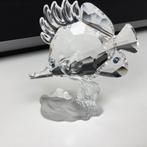 Swarovski Pincetvis incl doos en certificaat, Verzamelen, Swarovski, Ophalen of Verzenden, Nieuw, Figuurtje
