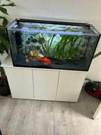 Aquarium, Dieren en Toebehoren, Vissen | Aquaria en Toebehoren, Ophalen of Verzenden, Zo goed als nieuw, Leeg aquarium