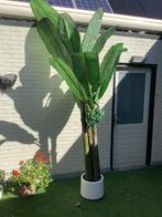 Kunstplant Bananenplant, Huis en Inrichting, Ophalen, Zo goed als nieuw