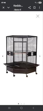 Grote papegaaien kooi, Ophalen, Zo goed als nieuw, Metaal, Vogelkooi