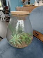Grote pot met kunstplanten, Huis en Inrichting, Kamerplanten, Ophalen of Verzenden, Overige soorten, Minder dan 100 cm