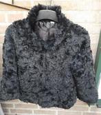 zwart chic jasje, Maat 38/40 (M), Zwart, Ophalen of Verzenden, Zo goed als nieuw