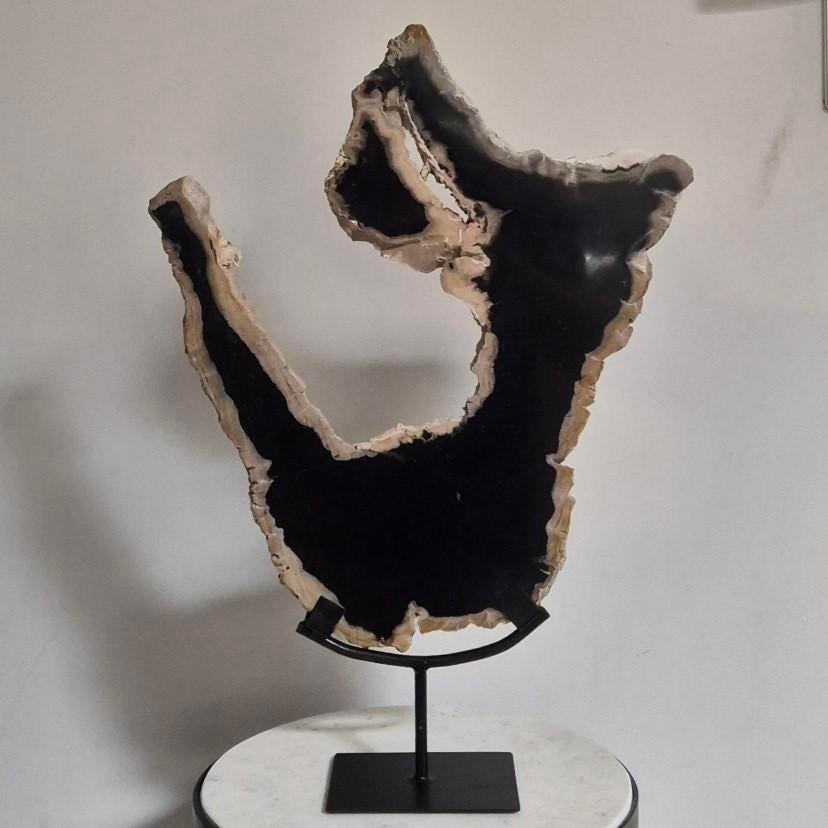 Versteend hout op standaard, Ophalen of Verzenden