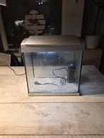 Aquarium 25 Liter te koop, Dieren en Toebehoren, Vissen | Aquaria en Toebehoren, Ophalen, Gebruikt, Leeg aquarium