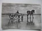 M01 Terschelling - Strandjutter, paard en wagen - 1959, Verzenden, 1940 tot 1960, Gelopen, Waddeneilanden