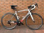 Wilier GTR Team L Campagnolo Potenza, Fietsen en Brommers, Fietsen | Racefietsen, Carbon, 49 tot 53 cm, Zo goed als nieuw, Meer dan 20 versnellingen