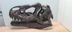 Lifesize 83cm Allosaurus schedel replica museum kwaliteit, Ophalen, Overige typen