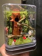 Springspin terrarium inspiratie, Dieren en Toebehoren, Insecten en Spinnen, Spin of Schorpioen