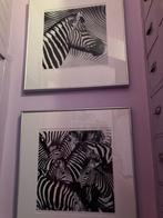Prachtige samenstelling van 3  foto's met zebra's in lijst, Huis en Inrichting, Woonaccessoires | Schilderijen, Tekeningen en Foto's