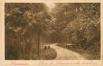 (387-255-025) Door de Leuvenumsche bosschen beschikbaar voor biedingen