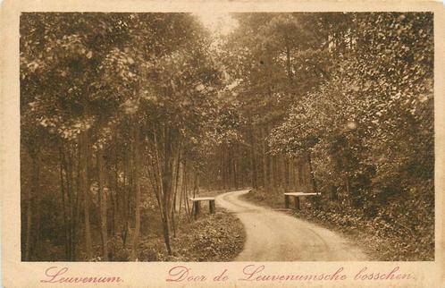 (387-255-025) Door de Leuvenumsche bosschen, Verzamelen, Ansichtkaarten | Nederland, Gelderland, Verzenden