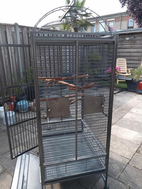 Papagaaien kooi met toebehoren, Dieren en Toebehoren, Vogels | Hokken en Kooien, Zo goed als nieuw, Vogelkooi, Metaal, Ophalen