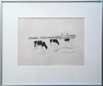 Grazende Koeien 8/12 - Kunstenaar: Jaap Schilperoord, Antiek en Kunst, Kunst | Litho's en Zeefdrukken, Ophalen of Verzenden