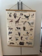 Poster dieren alfabet, Ophalen of Verzenden, Overige thema's