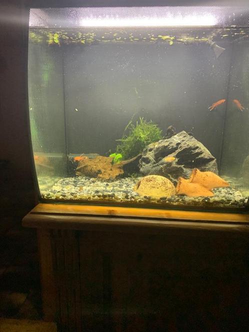 Fluval flex, Dieren en Toebehoren, Vissen | Aquaria en Toebehoren, Gebruikt, Leeg aquarium, Ophalen
