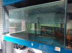 3x uitzwembakken 100x60dx55 h 10mm glas inclusief dekruiten, Ophalen of Verzenden, Zo goed als nieuw