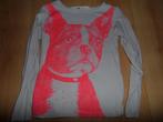 Coole lichtgrijze H&M longsleeve maat 110/116, Kinderen en Baby's, Kinderkleding | Maat 110, Ophalen of Verzenden, Zo goed als nieuw