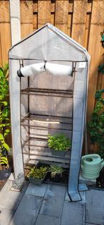 Kessel tuinkas, Tuin en Terras, Kassen, Ophalen of Verzenden, Folie, Nieuw