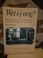Wet i-j nog? - Jeugdverhalen Kattenbarg, Boeken, Ophalen of Verzenden, Gelezen, Overige onderwerpen, B.H. Bennink