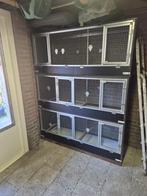 Broedkooien, Ophalen, Gebruikt, Broedkooi of Kweekkooi