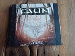 Faun - Licht, cd, Ophalen of Verzenden, Zo goed als nieuw