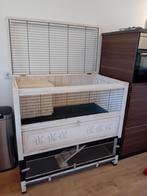 Konijn/ cavia kooi., Ophalen, 110 cm of meer, Cavia, 90 cm of meer