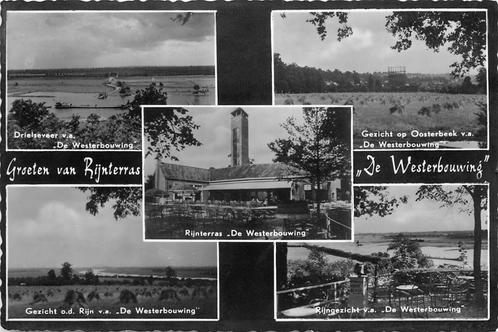(387-270-021) Oosterbeek Rijnterras de Westerbouwing, Verzamelen, Ansichtkaarten | Nederland, Gelderland, Verzenden