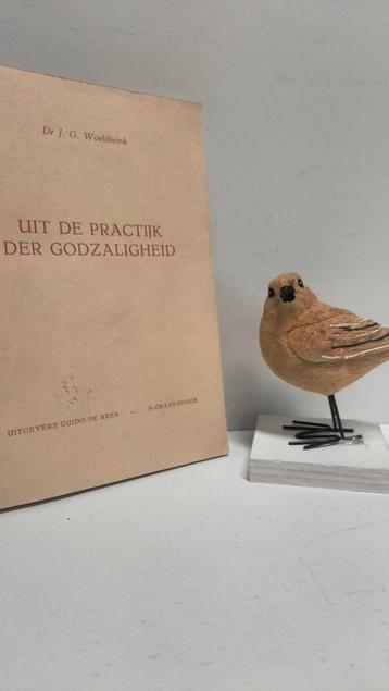 Woelderink, Dr. J.G. ; Uit de practijk der godzaligheid  beschikbaar voor biedingen