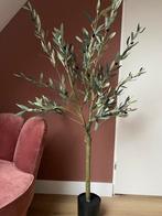 Nieuwe zijden olijfboom - Prachtig!, Huis en Inrichting, Ophalen of Verzenden, Nieuw, Binnen