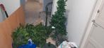Twee kerstbomen en twee tassen met kerst items, Ophalen, Gebruikt
