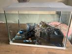 Superfish 70 aquarium met veel toebehoren, Ophalen, Gebruikt, Leeg aquarium