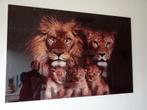 Glas schilderij leeuwen, Ophalen, Zo goed als nieuw, Schilderij, 100 tot 125 cm