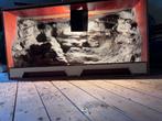 Terrarium betonplex, Dieren en Toebehoren, Reptielen en Amfibieën | Toebehoren, Ophalen