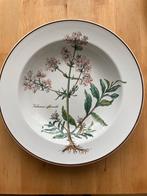 Diep bord Villeroy & Boch Botanica - Valeriana officinalis, Huis en Inrichting, Keuken | Servies, Gebruikt, Keramiek, Ophalen of Verzenden