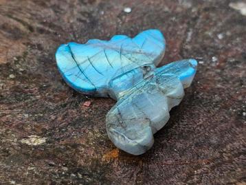 Mooie flashy labradoriet vlinder beschikbaar voor biedingen