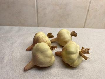 Decoratieve Knoflook Bollen beschikbaar voor biedingen