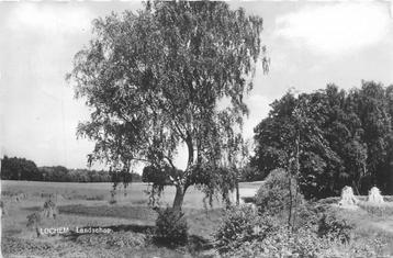 (387-191-017) Lochem Landschap beschikbaar voor biedingen