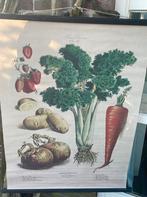 Nieuw!!! Linnen doek, Ophalen of Verzenden, Nieuw, Schilderij, 75 cm of meer