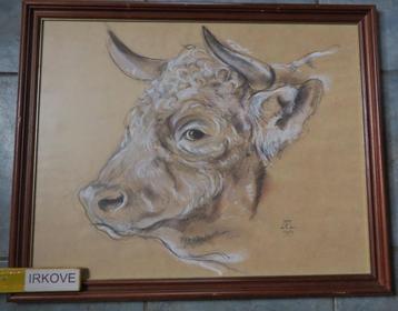 STIER * GEMENGDE TECHNIEK * In Lijst * beschikbaar voor biedingen