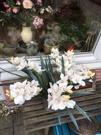 Kunstbloemen 6 takken witte Orchidee, Gebruikt, Ophalen of Verzenden